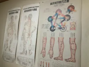 鍼灸ツボ解説図