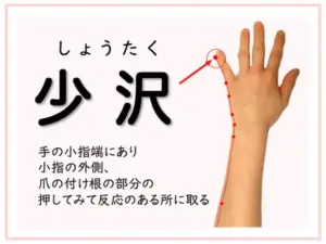 おすすめのつぼ　しょうたく